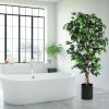 6 Feet Artificial Ficus Silk Tree