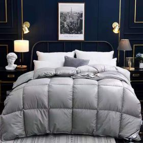 Down Duvet, Winter Duvet, Goose Down Duvet Core, Air Conditioner (Option: Grey-200x230cm-4)